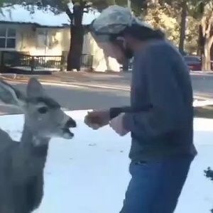 Meet your Posher, Thomas